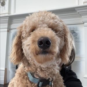 Meet your Posher, Victoria